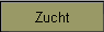 Zucht