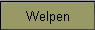 Welpen