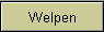 Welpen